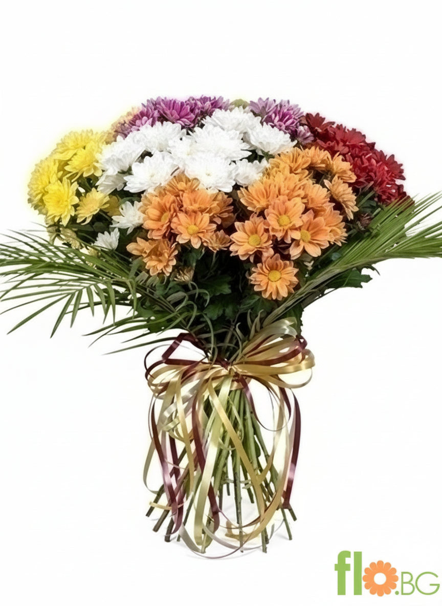 ПЪСТРОЦВЕТНИ ХРИЗАНТЕМИ