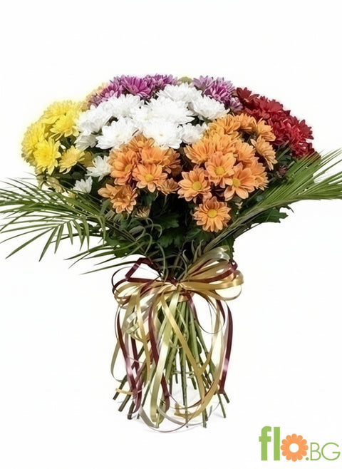 ПЪСТРОЦВЕТНИ ХРИЗАНТЕМИ