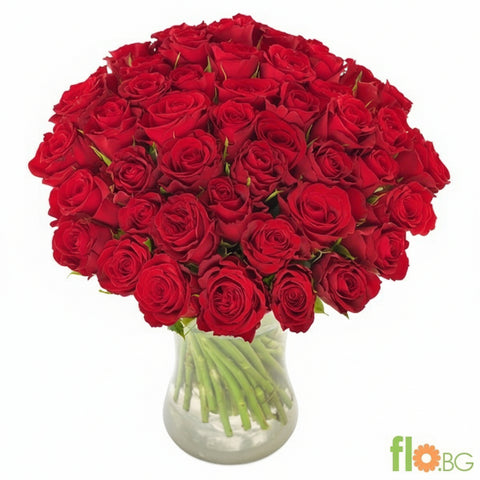 51 ЧЕРВЕНИ РОЗИ