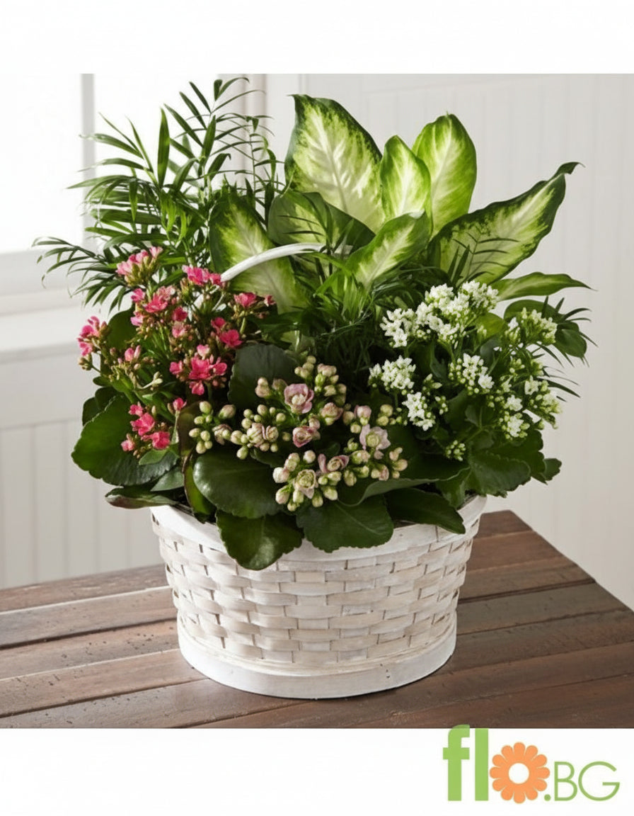 КОШНИЦА СЪС САКСИЙНИ ЦВЕТЯ