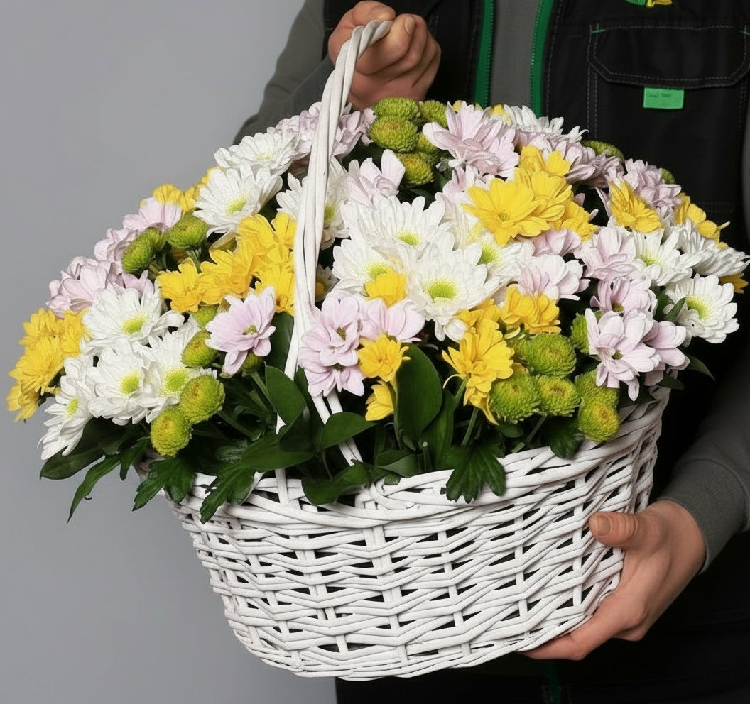 КОШНИЦА ХРИЗАНТЕМИ