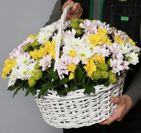 КОШНИЦА ХРИЗАНТЕМИ