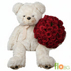 White teddy bear holding a large bouquet of red roses on a white background