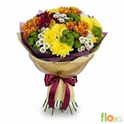 ХРИЗАНТЕМИ ЛУКС