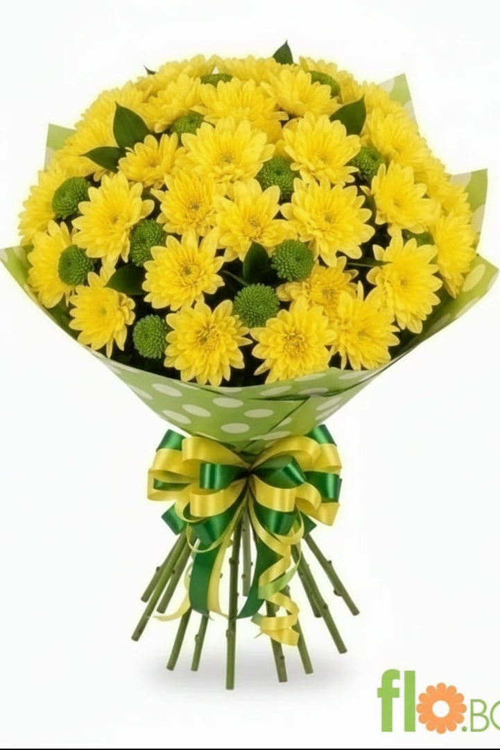 13 ХРИЗАНТЕМИ НА ТОЧКИ