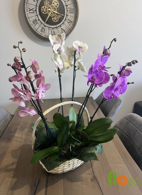 АРАНЖИРОВКА С ОРХИДЕИ