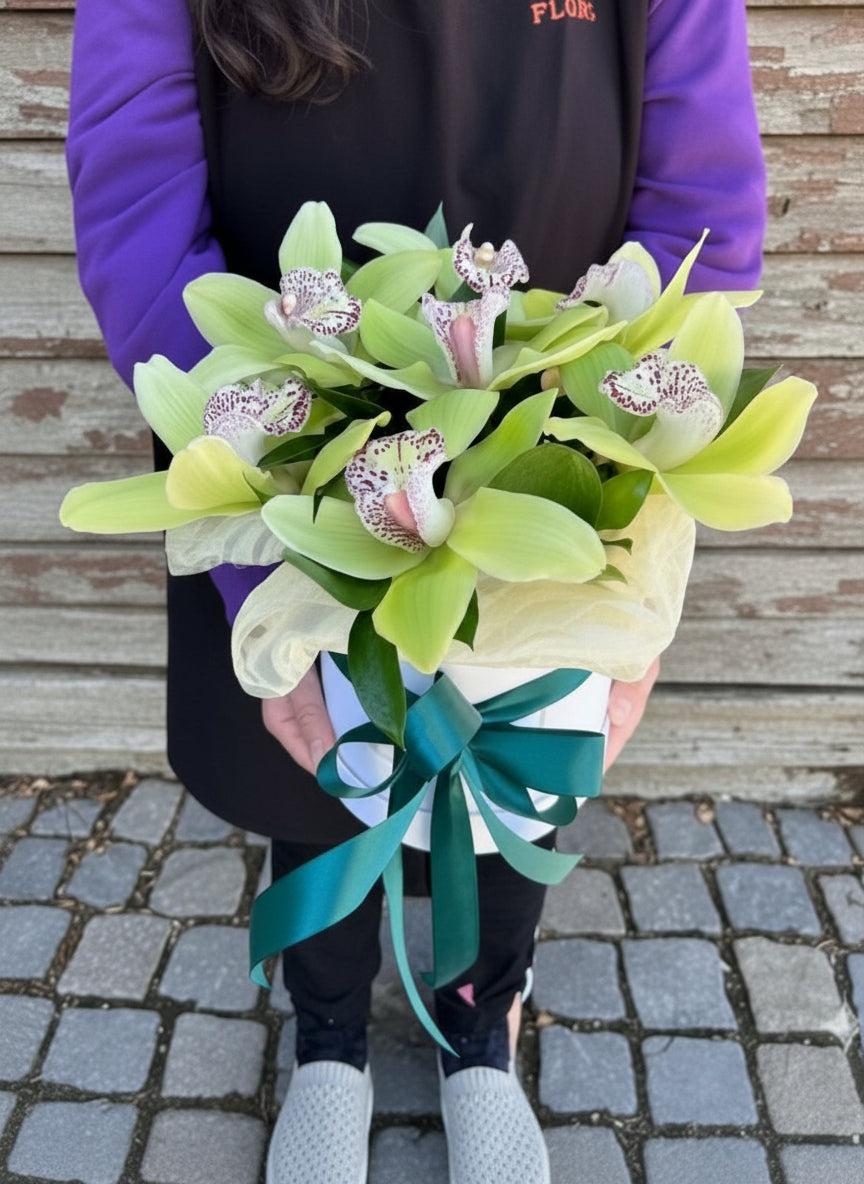 Кутия с 7 зелени орхидеи цимбидиум, украсена с изумрудена панделка