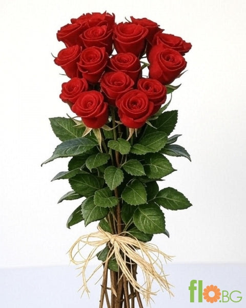 Роза 15 броя