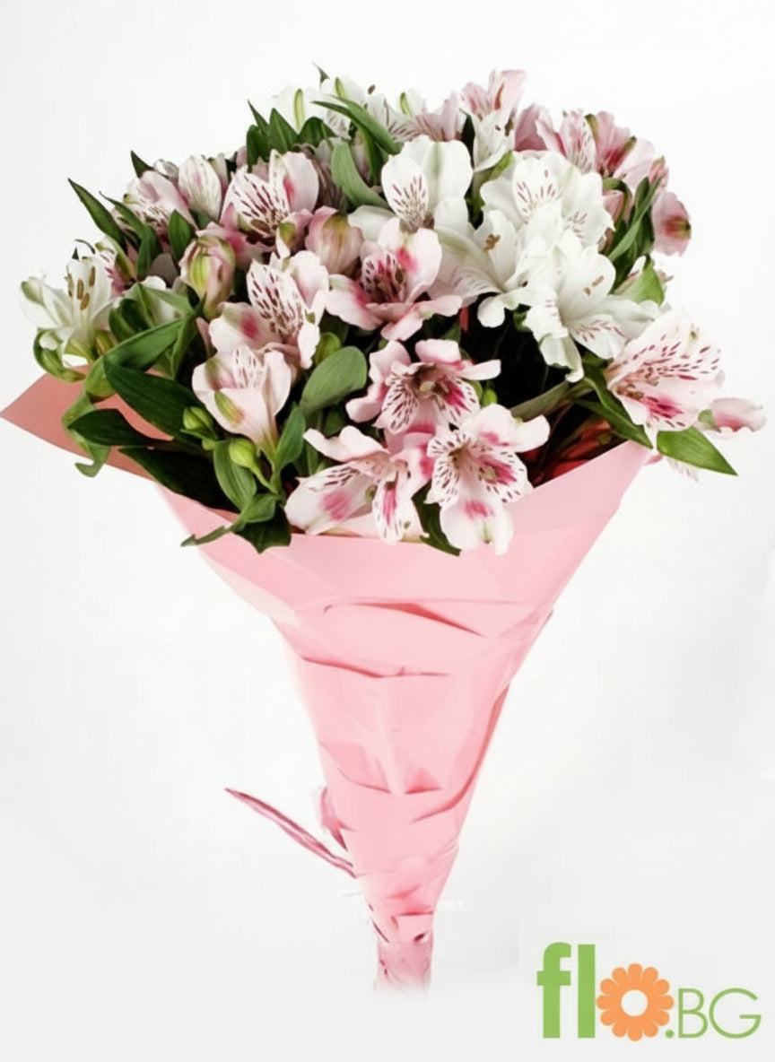 Алстромерия-микс