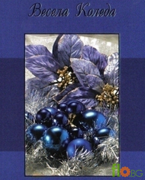 Весела Коледа!