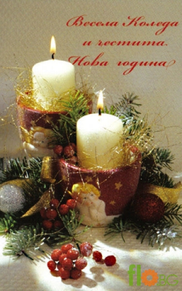 Весела Коледа и честита Нова година!