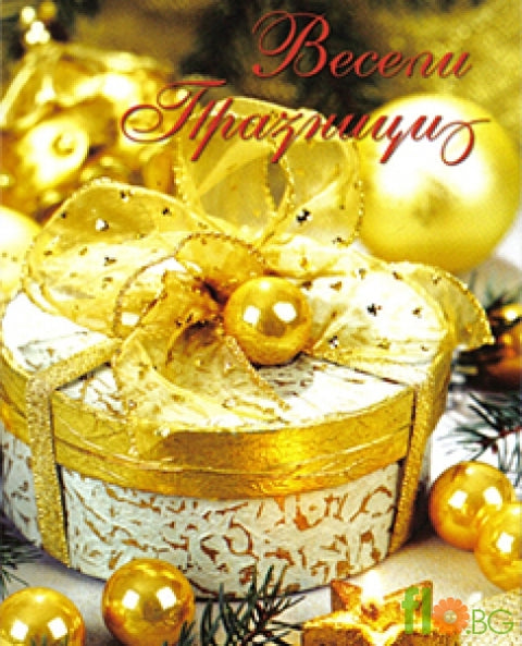 Голяма Картичка - Весели празници!