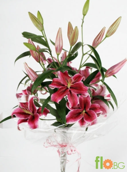 Лилиум 1бр.       
                  
  цвета е според наличноста