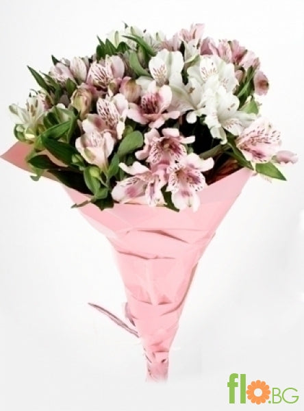 Алстромерия 1бр.