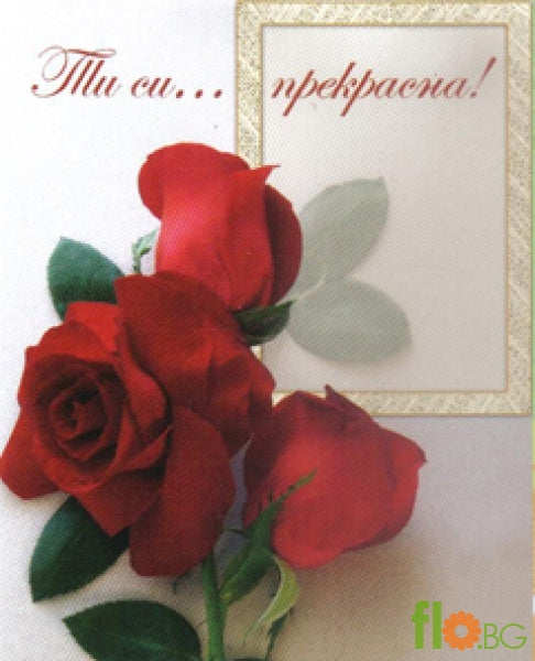Ти си прекрасна!