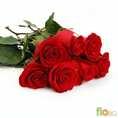 7 Fresh Roses – Romantic Bouquet