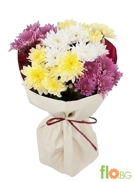 Хризантема 1бр.