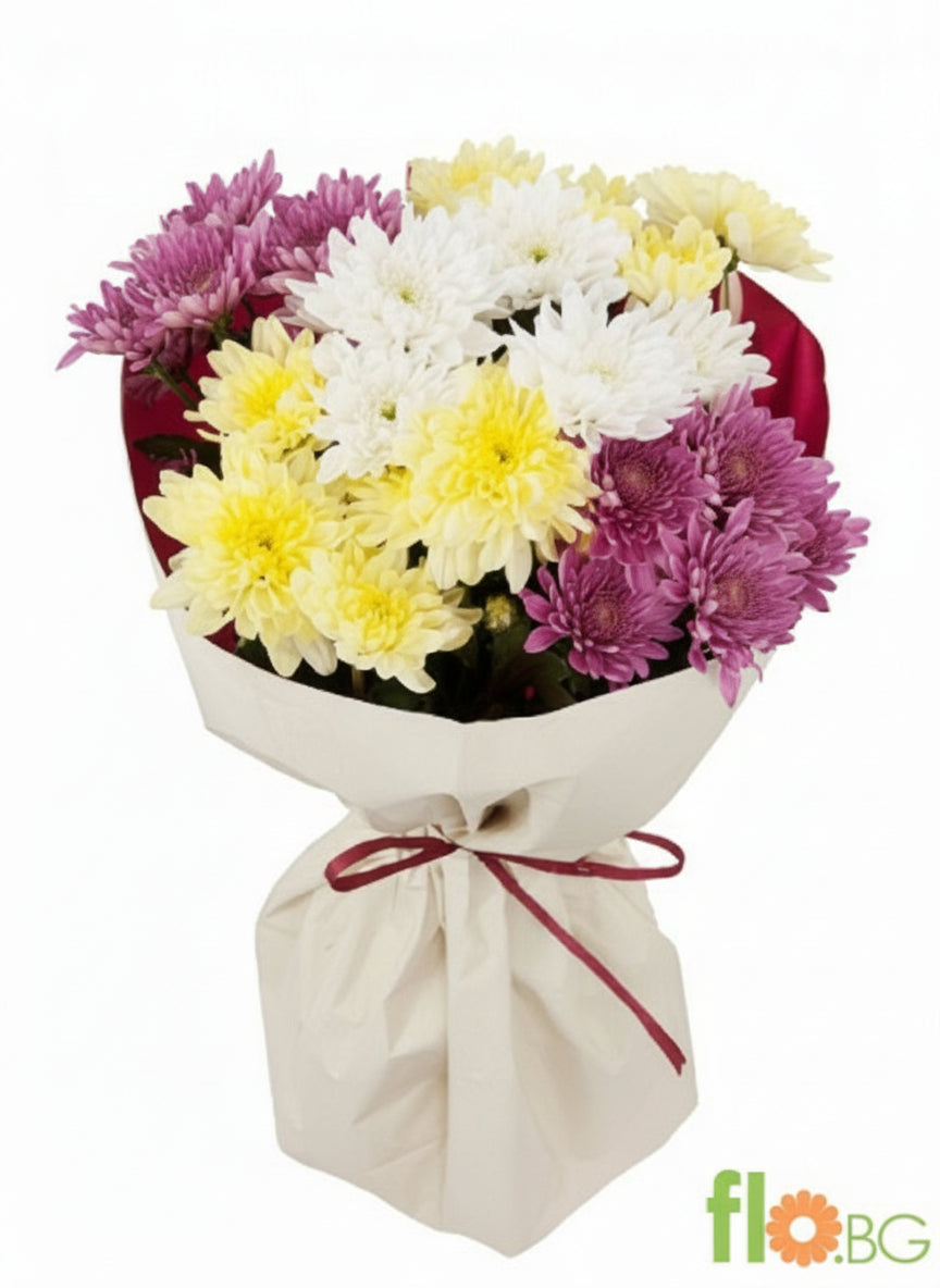 ХРИЗАНТЕМА МИКС