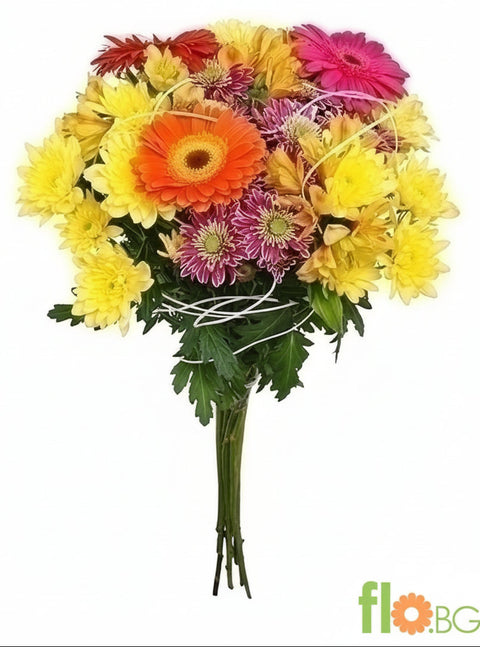 Хризантема,Гербер и Алстромерия