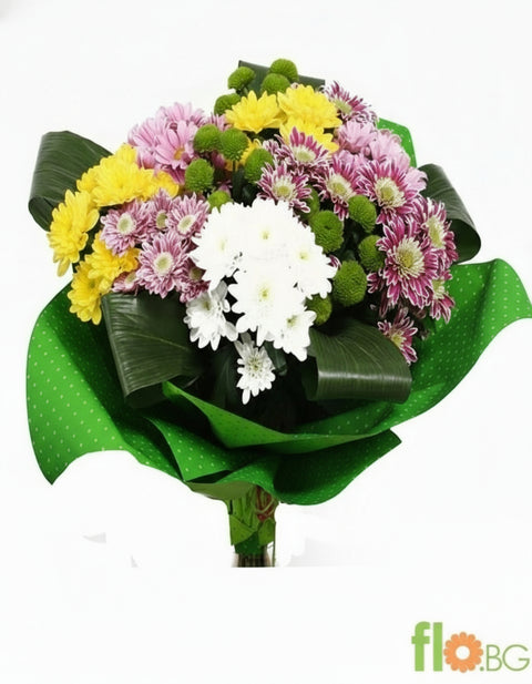 Цветни Хризантеми