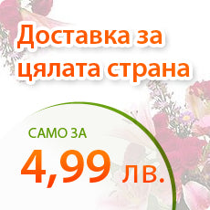 Доставка за цялата страна само за 4,99лв.