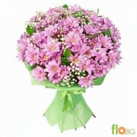 ХРИЗАНТЕМИ PINK