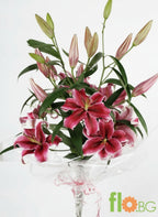 Букет Лилиум