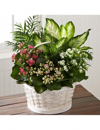BASKET WITH POT FLOWERS