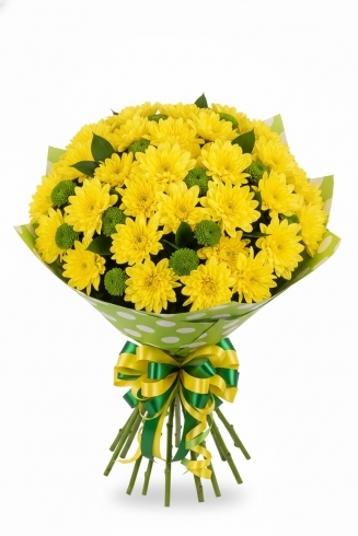 15 ХРИЗАНТЕМИ НА ТОЧКИ