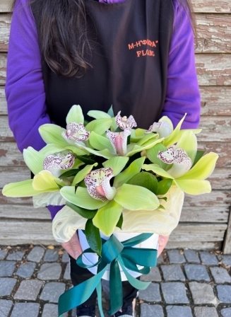 Кутия с 7 зелени орхидеи цимбидиум, украсена с изумрудена панделка