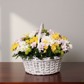 КОШНИЦА ХРИЗАНТЕМИ