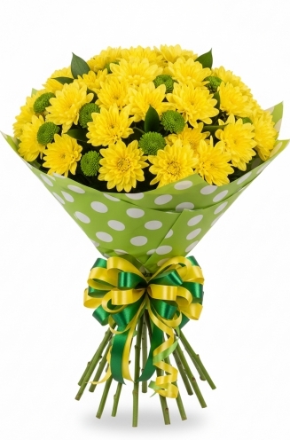 13 ХРИЗАНТЕМИ НА ТОЧКИ 