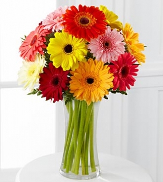 15 GERBERA