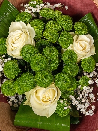 Букет от четири зелени хризантеми, три бели рози, нежна гипсофила и зеленина. 