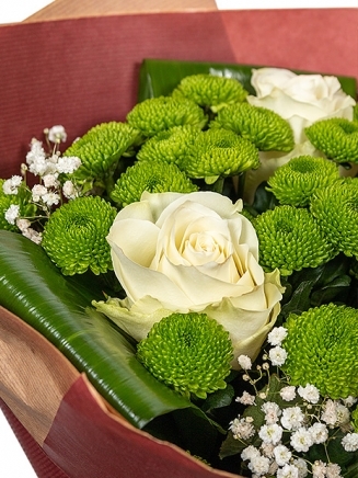 Букет от зелени хризантеми, три бели рози, обградени от нежна гипсофила и зеленина