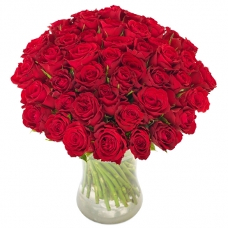 51 подбрани червени еквадорски рози
