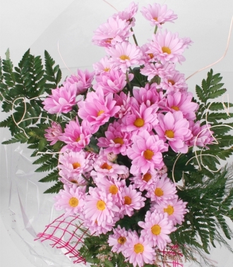 Цветя хризантеми