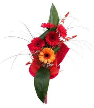 Gerbera bouquet 5 pcs.
