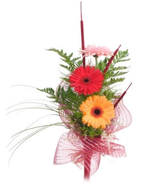 Gerbera bouquet 3 pcs.