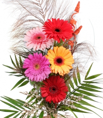 Gerbera bouquet 5 pcs.