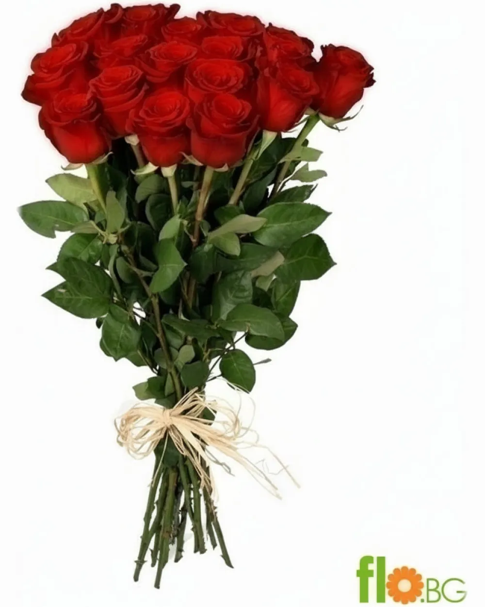 Роза 1бр.